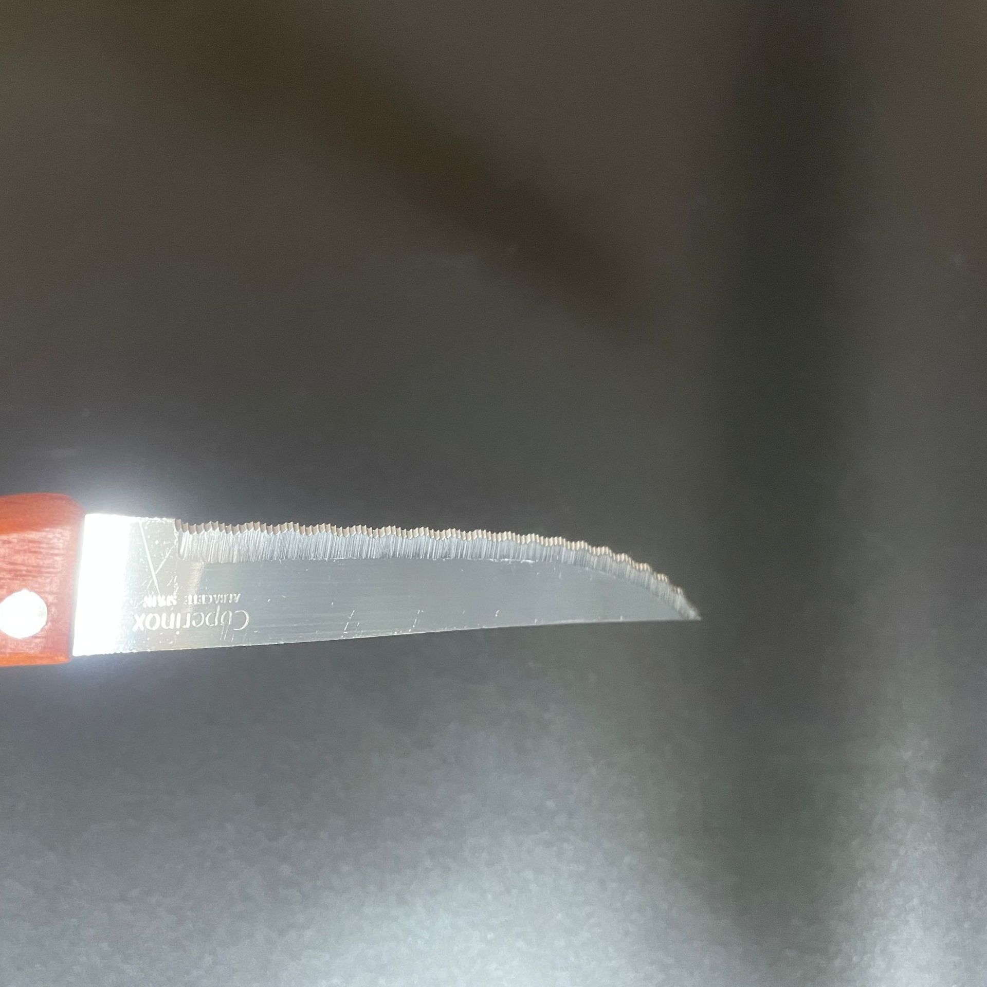 Outdoor disposable steak knife, barbecue beef and mutton cutting knife, portable sharp table knife for parties, Western food takeout, Western style details Picture