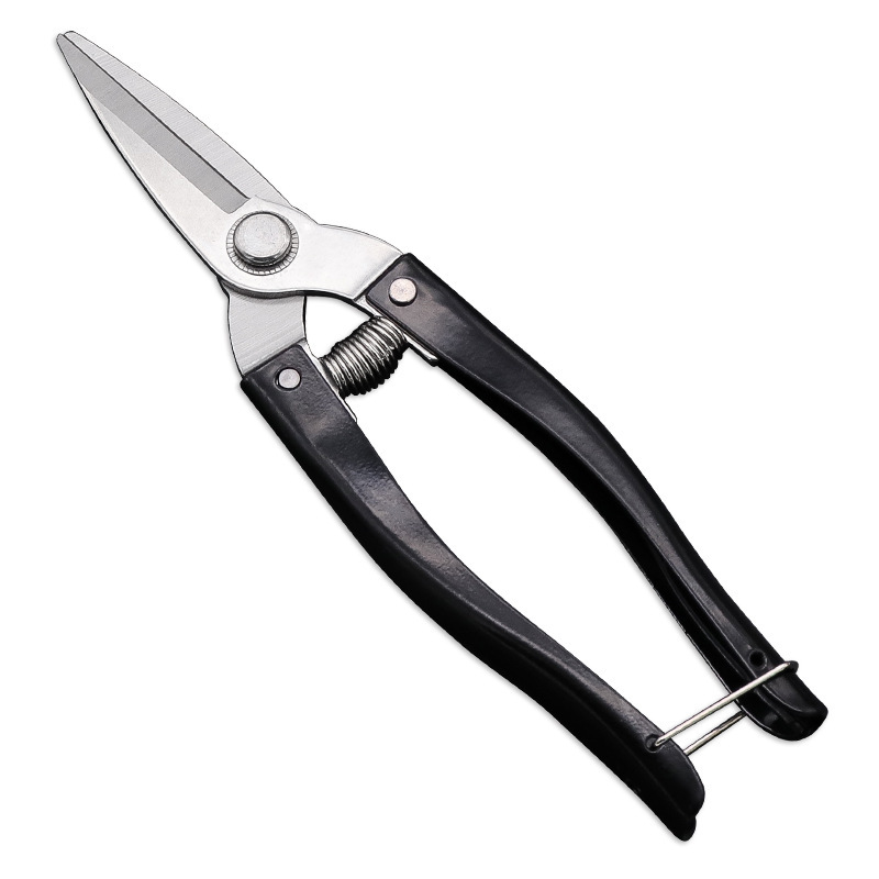 Luoding stainless steel fruit-picking shears, citrus shears, garden pruning shears, extra-large round-head fruit-picking shears, pepper fruit shears Item Picture