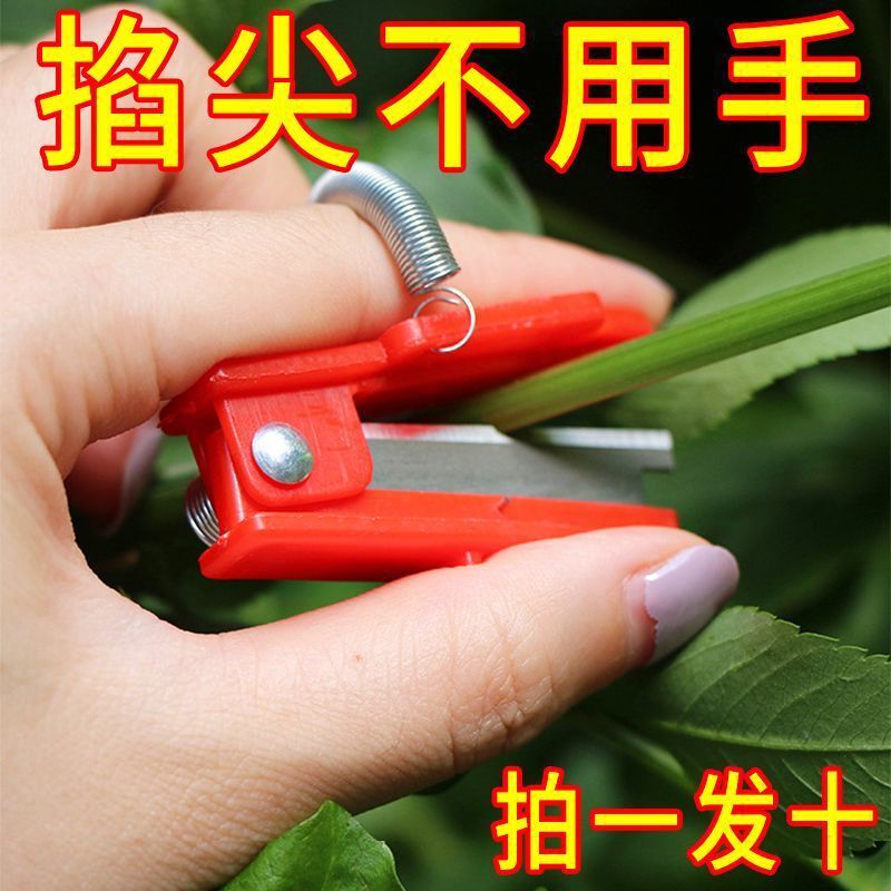 Small guillotine thumb knife for picking grapes, cucumbers, vegetables, leaves and roots, small guillotine picking knife full figure