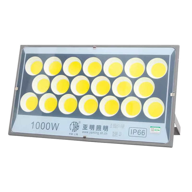 Yaming LED floodlights, low-voltage Marine DC battery 12V, 24V, 36V, 100W battery outdoor waterproof floodlights Item Picture