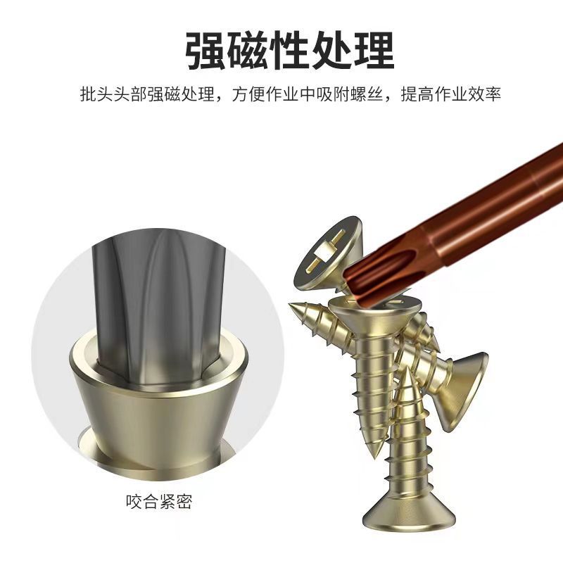 Strong magnetic high-hardness plum blossom type S2 extended T10/T15/T20/T25/T30/T40 plum blossom bit details Picture