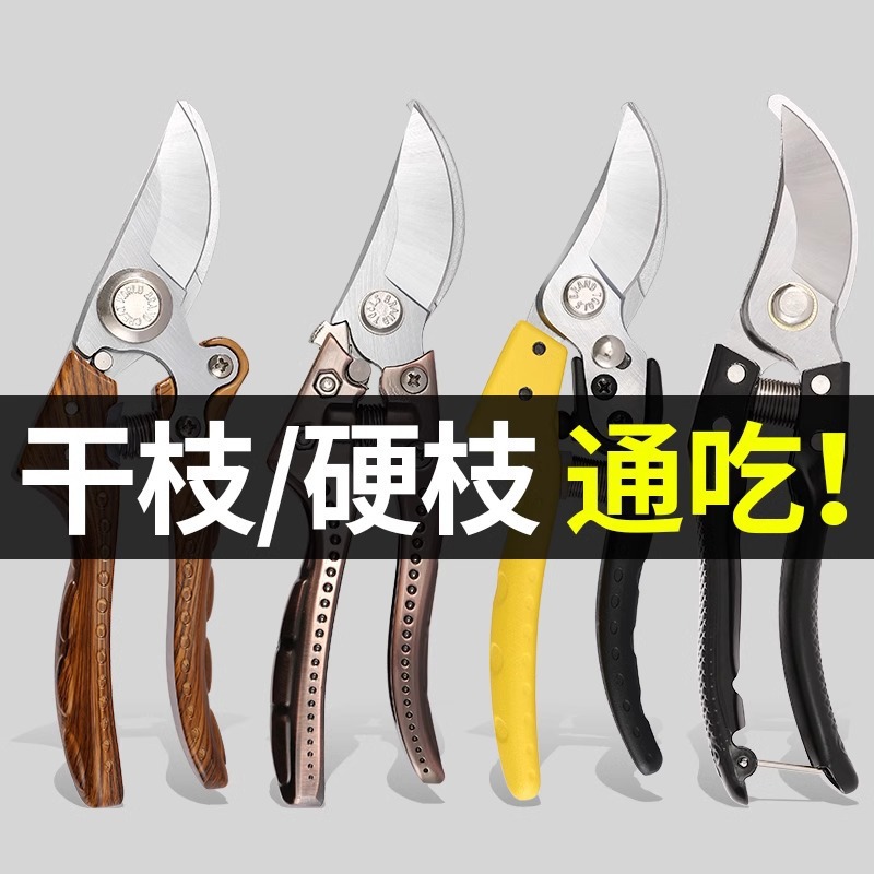 Garden pruning shears, garden greening pruning fruit tree shears, flower shears, floral art thick branch shears tools Item Picture