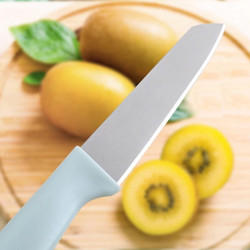 Nordic color fruit knife, portable knife case, fruit peeler, household stainless steel fruit knife, fruit peel knife Application Scenario