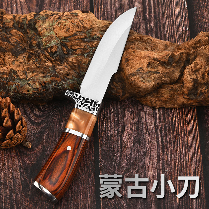 Modern, simple, high-hardness, sharp stainless steel swift straight knife, outdoor survival and survival portable multi-purpose knife details Picture