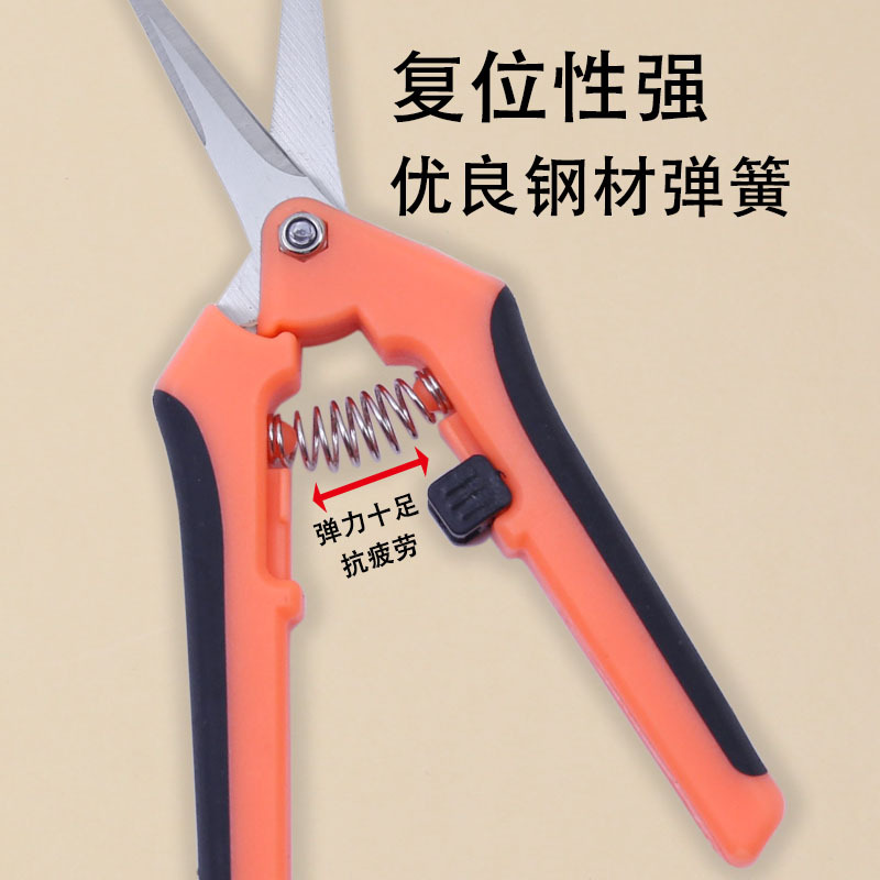 Wholesale stainless steel flower branch scissors, pruning shears, straight head garden tools, grape and vegetable shears, garden scissors manufacturer details Picture