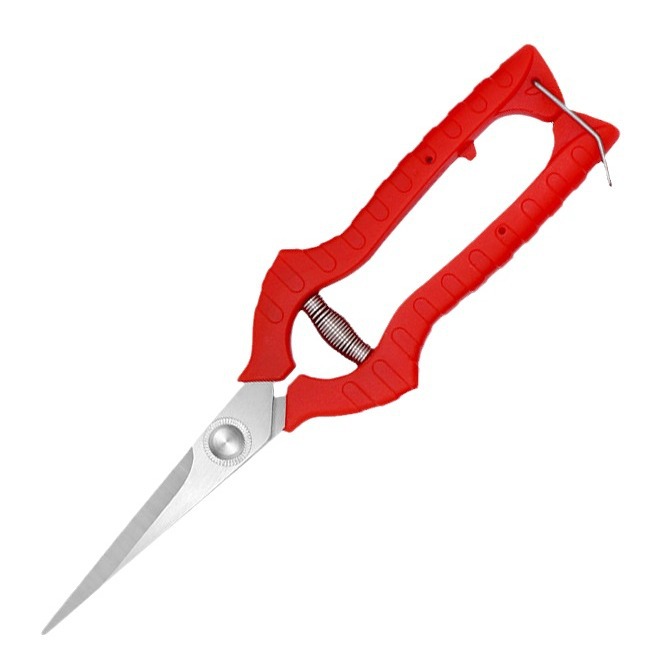 Factory direct sales, wholesale of multi-functional stainless steel pruning shears, grape shears, fruit and vegetable picking shears, flower art and rare fruit shears Item Picture