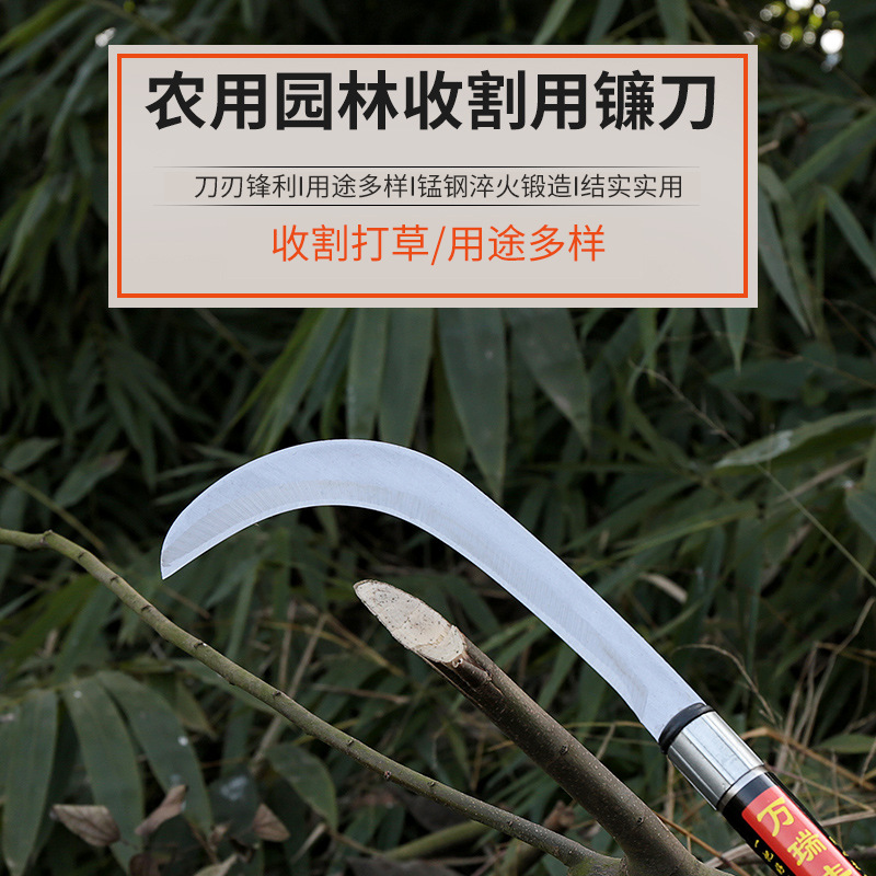 Sickle, grass cutter, agricultural tool, extended handle, sickle, grass cutter, manual firewood cutting, pruning, firewood cutting frame, tree cutting details Picture