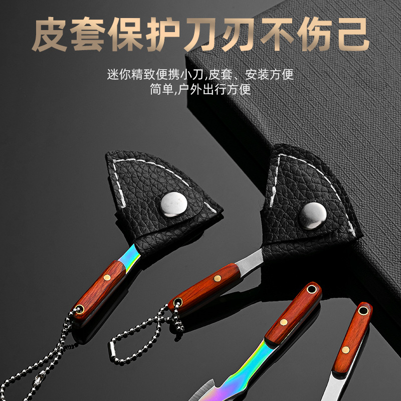 Keychains, small kitchen knives, mini sickles, gift knives, express delivery knives, portable knives, key knives, non-folding knives, pendants and accessories Application Scenario