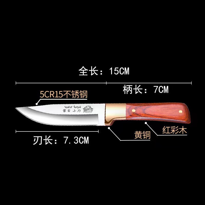 Hot-selling Mongolian meat knife, household kitchen fruit knife, barbecue knife, Western steak knife, hand-held meat small cutter Application Scenario