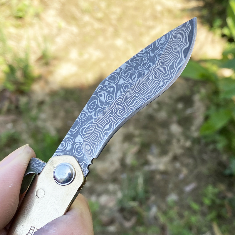 Small knife, folding knife, camping portable fruit knife, unboxing knife, pocket folding knife, Damascus steel details Picture