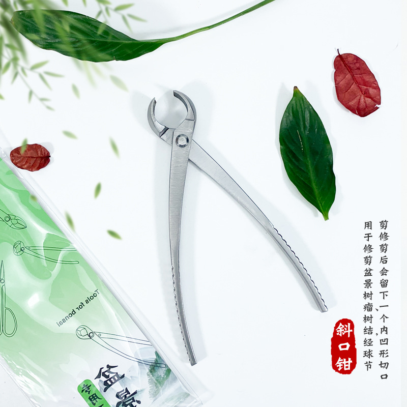 Bonsai tools, bonsai scissors, potted plant scissors, garden scissors, unpruned steel pruning pliers sets, leaf bud spherical scissors Specification drawing