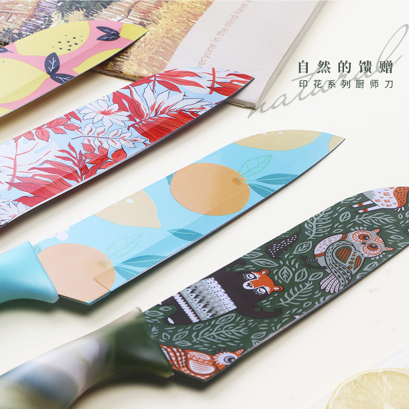 Printed small kitchen knife, household stainless steel chef knife, kitchen-specific cooking knife, ladies' special complementary food chef knife details Picture