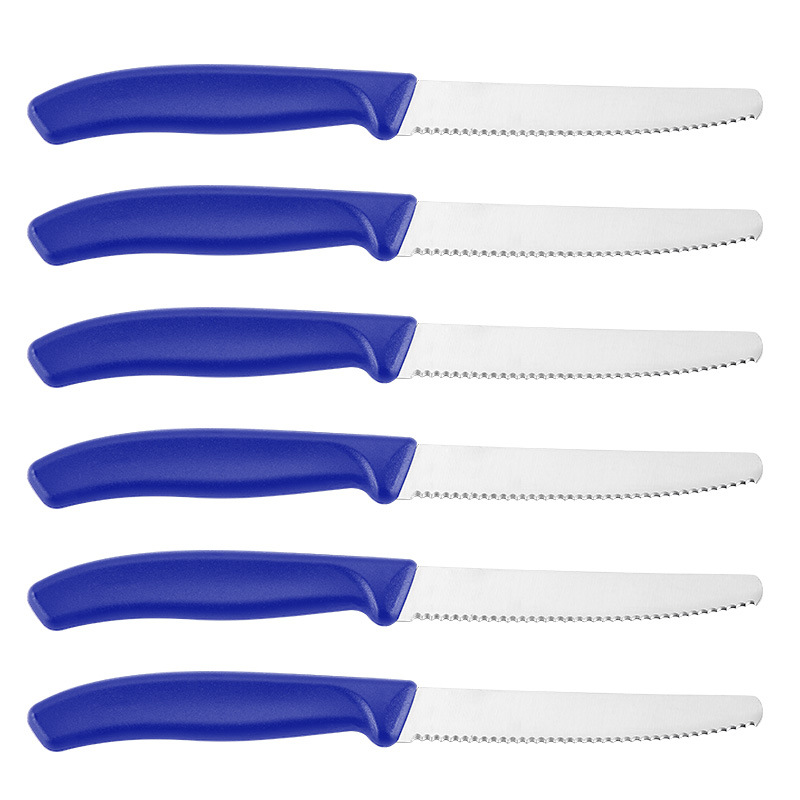 Western-style steak knife, stainless steel steak knife, serrated knife set Item Picture