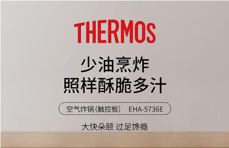 批发包邮！EHA-5736E 膳魔师空气炸锅5L 智能小家电手办百货电器详情2