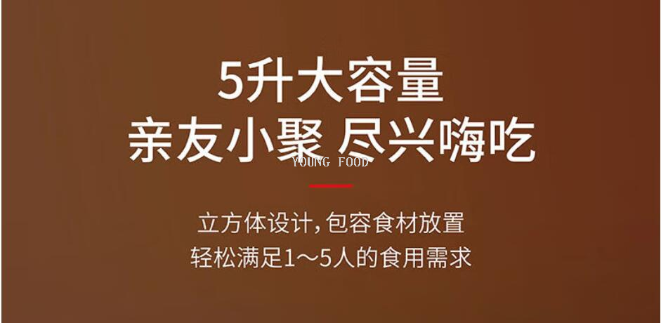 批发包邮！EHA-5736E 膳魔师空气炸锅5L 智能小家电手办百货电器详情5