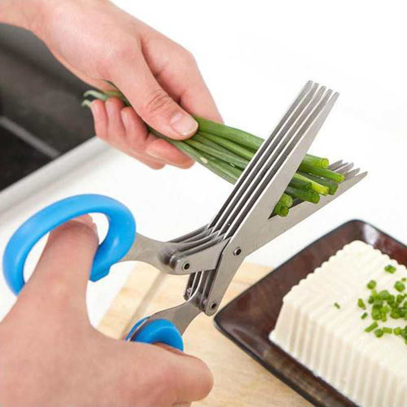 Five layers: scallion cut, children's complementary food cut, seaweed cut, nori cut, chili cut, coriander cut, kelp cut, shredded paper cut Specification drawing
