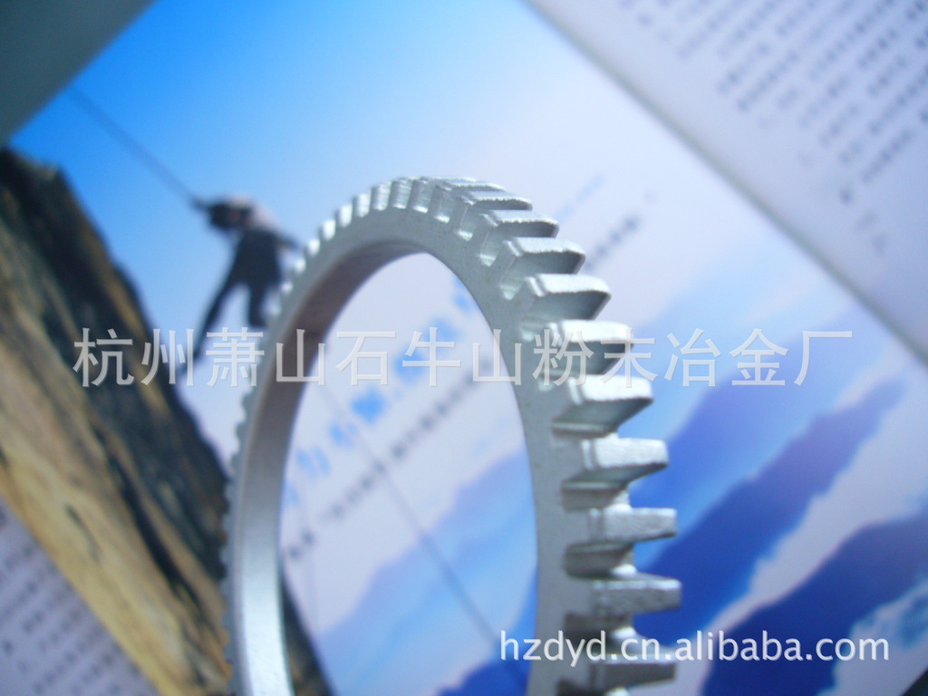 The powder metallurgy manufacturer in Xiaoshan, Hangzhou, Zhejiang Province supplies iron-based powder metallurgy for automotive ABS gear rings Application Scenario
