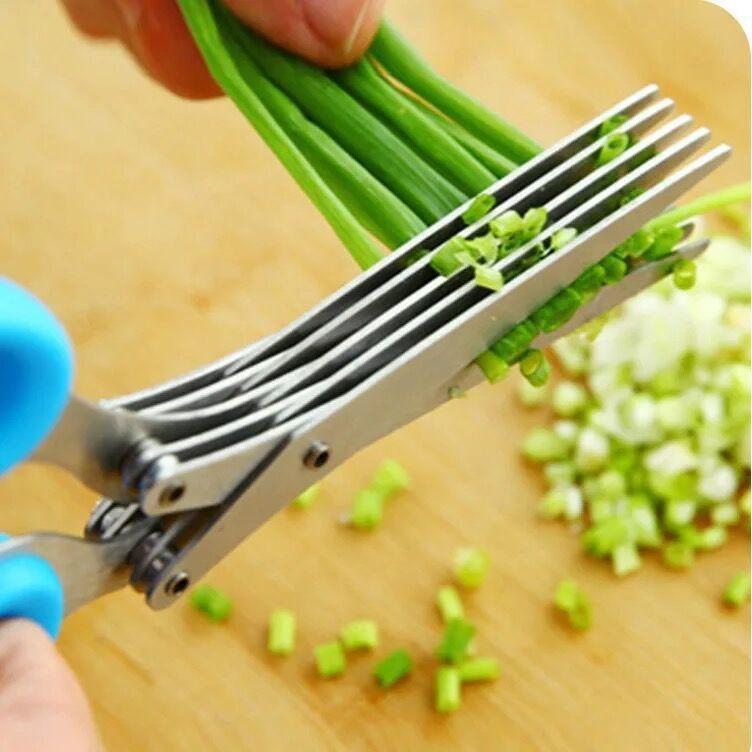 Five layers: scallion cut, children's complementary food cut, seaweed cut, nori cut, chili cut, coriander cut, kelp cut, shredded paper cut details Picture