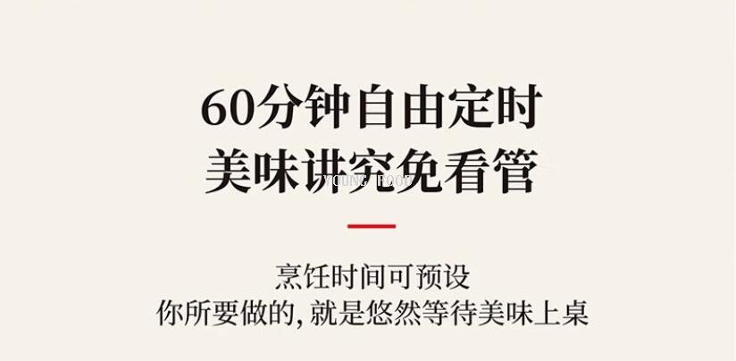 批发包邮！德国品牌厨具双立人空气炸锅黑色3.5L ZAF1300/1027131详情12