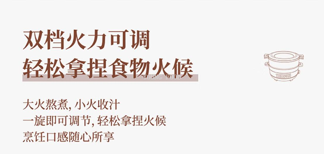 批发包邮！膳魔师3L电火锅家用火锅双档火力上蒸下煮EHA-4332A详情17