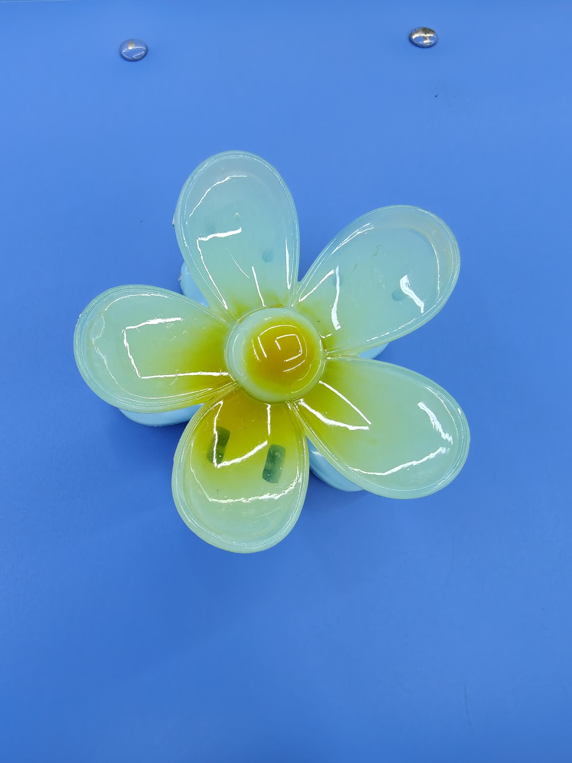 发夹/发饰/醋酸发饰/抓夹/小女孩发夹白底实物图