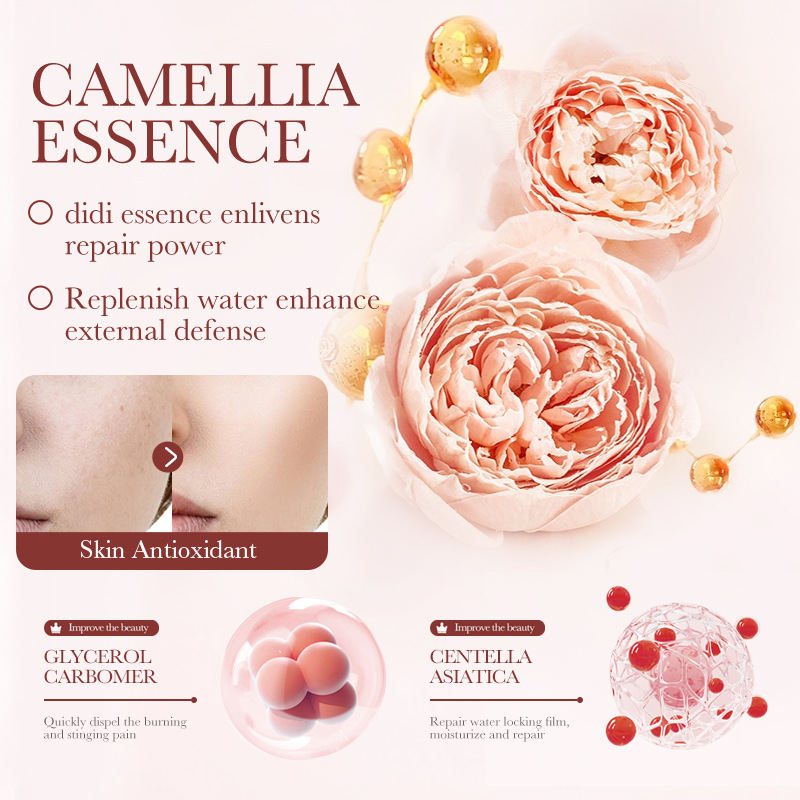 BIOAOUA Camellia Antioxidant Moisturizing Toner and Hydrating Lotion Cross-border export wholesale Application Scenario