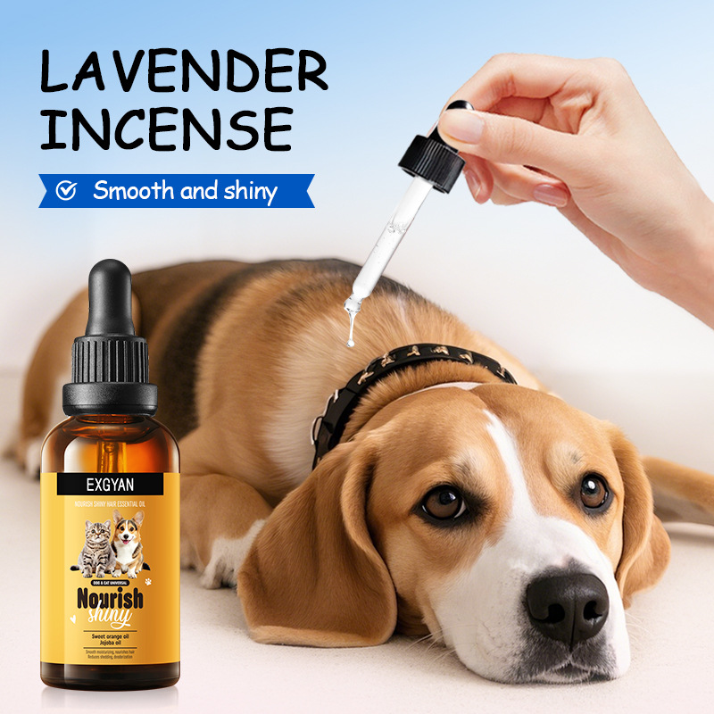 EXGYAN Pet Nourishing and Brightening Hair Essential Oil for cats and Dogs cross-border export wholesale Specification drawing