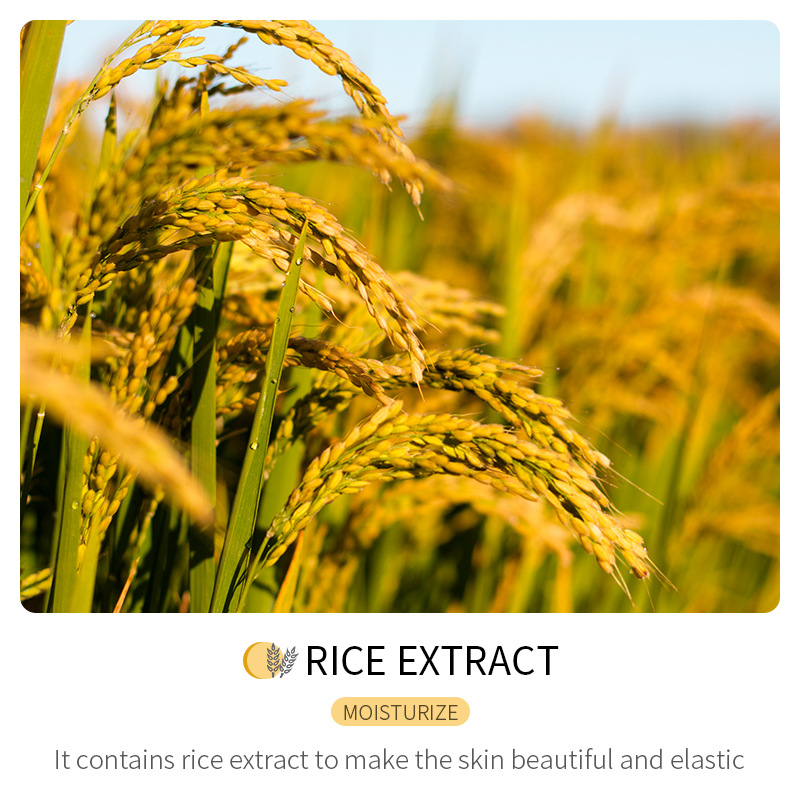 Cross-border wholesale of all-English BIOAQUA Rice Puree Facial mask for hydrating, moisturizing and nourishing Item Picture