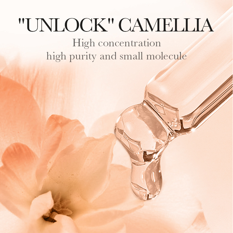 BIOAOUA Camellia Antioxidant Moisturizing Cream and Hydrating Beauty Cream Cross-border export wholesale Application Scenario
