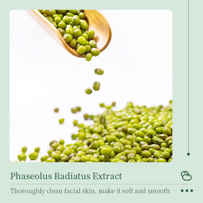 Cross-border wholesale of all-English BIOAOUA mung bean amino acid PH Balanced Facial cleanser Specification drawing