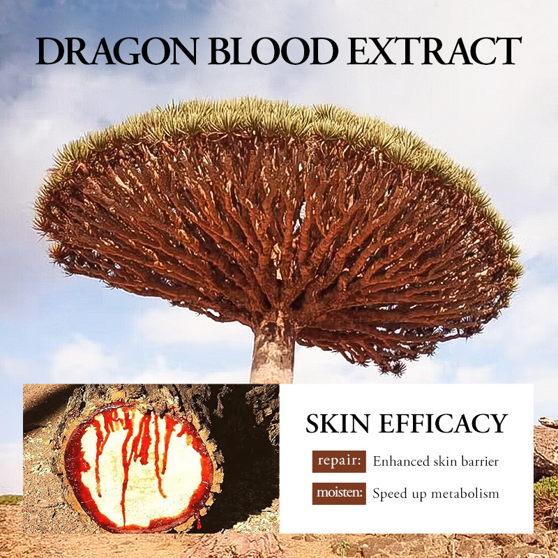 Full English SADOER Ganoderma lucidum Dragon Blood Anti-Wrinkle Mask Moisturizing and Hydrating Skin Mask Cross-border export wholesale Specification drawing