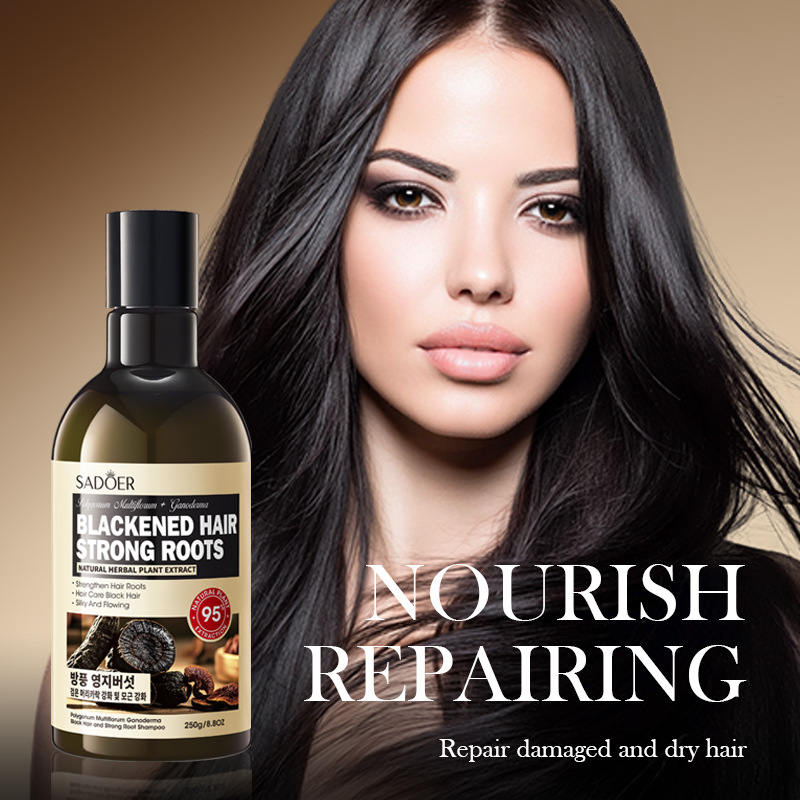 Full English SADOER Polygonum multiflorum, Ganoderma lucidum, Black Hair and Strong Root Shampoo, Softening Shampoo Cross-border export wholesale Application Scenario
