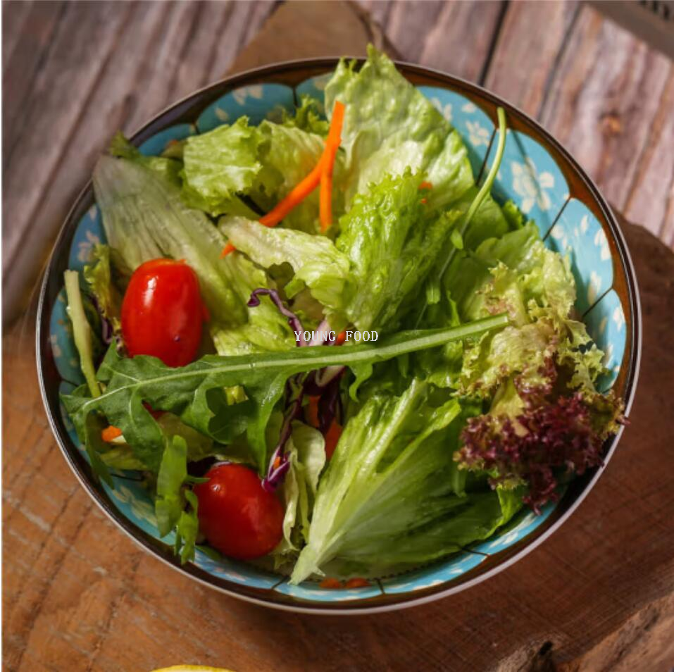 Free shipping for wholesale! 150ml Japanese Dachang vegetable salad dressing, imported condiment figurine, dipping sauce, snack pic 6