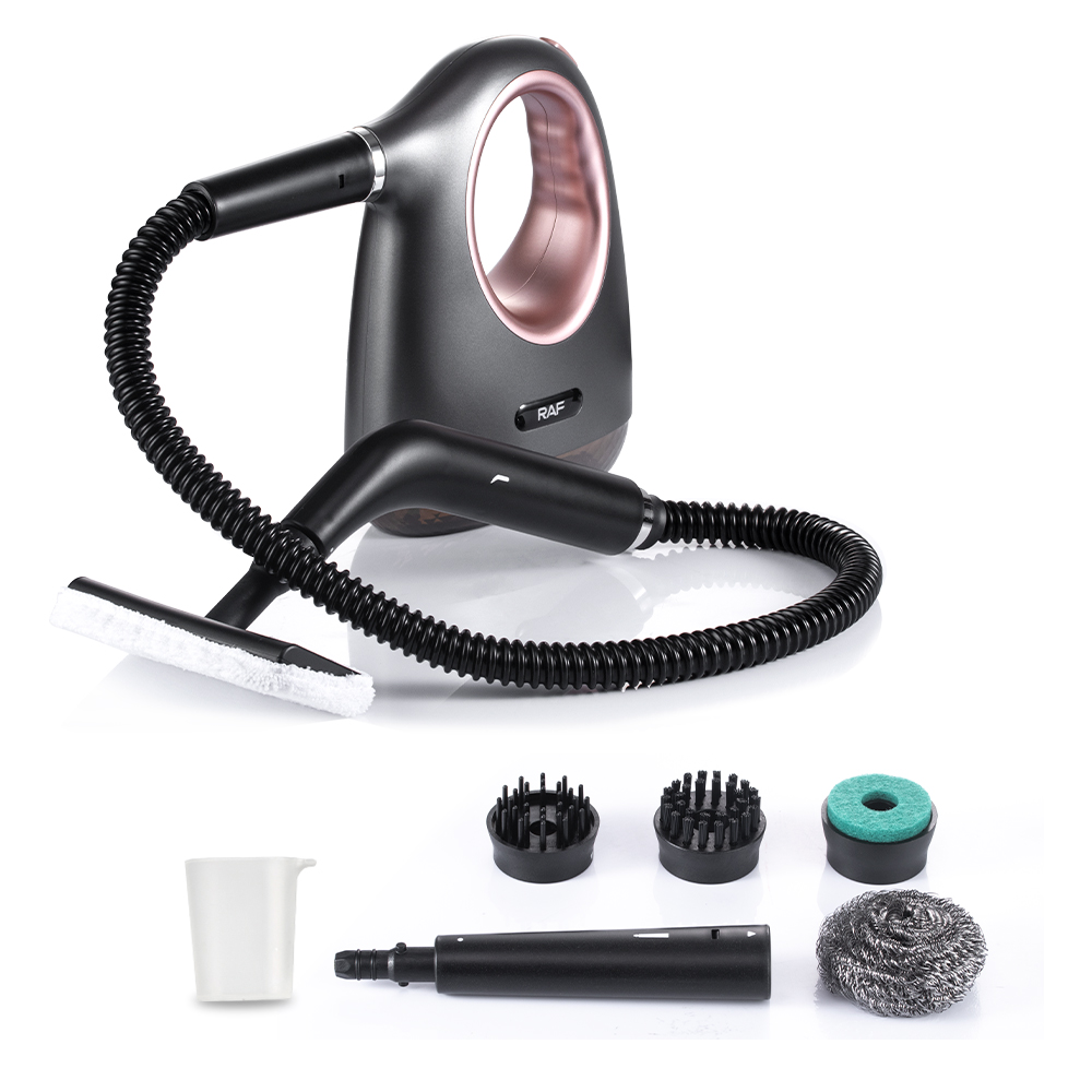 RAF European standard handheld small portable vertical multi-functional steam cleaner for wiping household steam cleaning brush details Picture