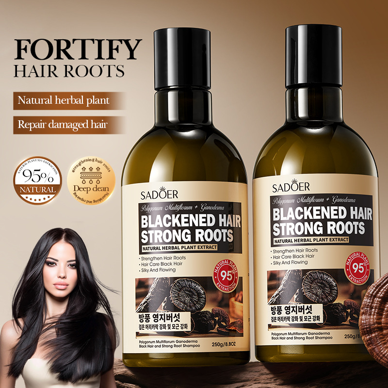 Full English SADOER Polygonum multiflorum, Ganoderma lucidum, Black Hair and Strong Root Shampoo, Softening Shampoo Cross-border export wholesale full figure