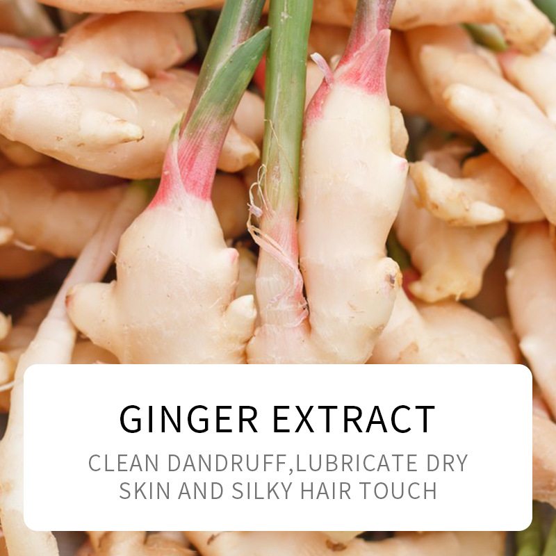 All-english SADOER ginger hair Mask for improving frizzy and smooth hair conditioner cross-border export wholesale Application Scenario