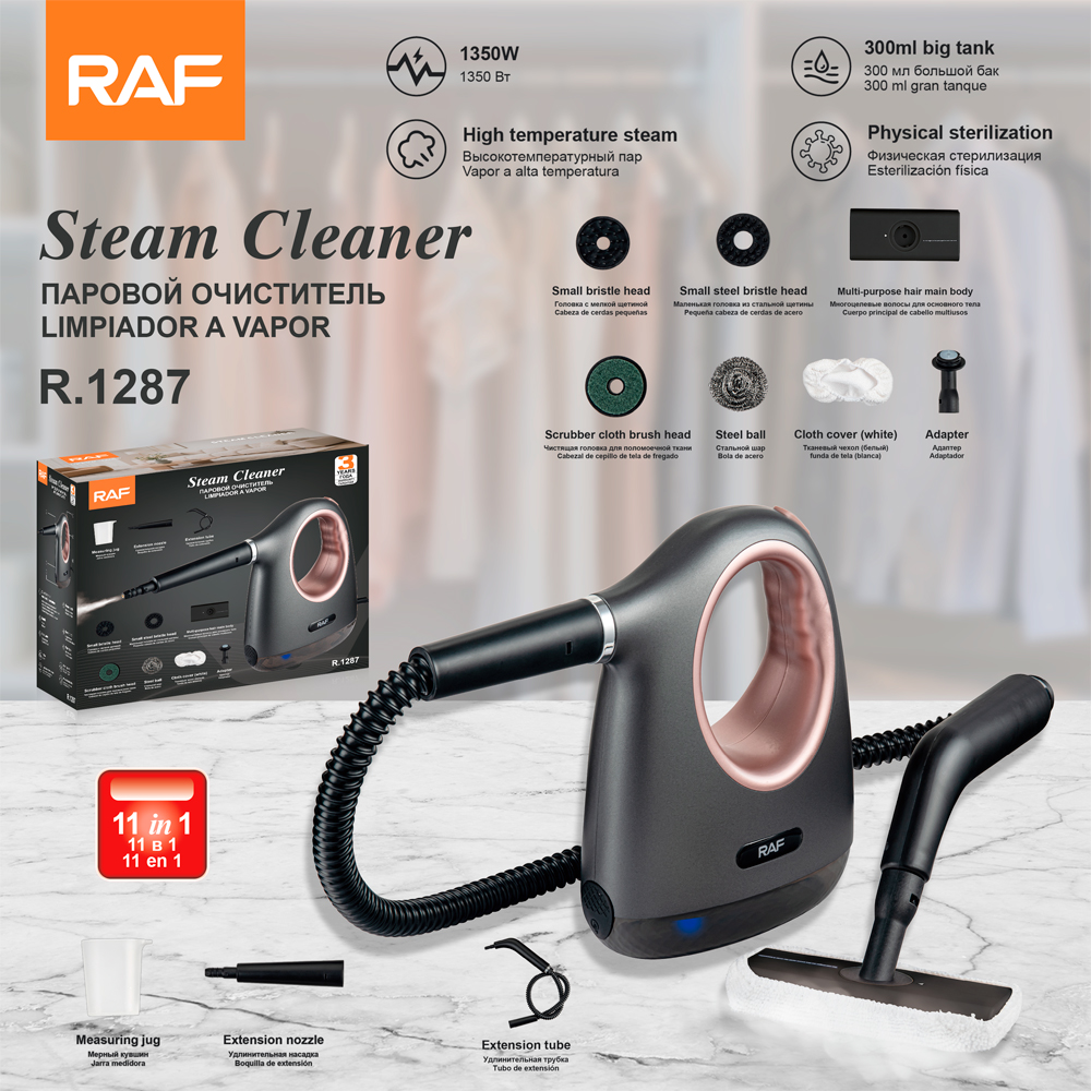 RAF European standard handheld small portable vertical multi-functional steam cleaner for wiping household steam cleaning brush full figure