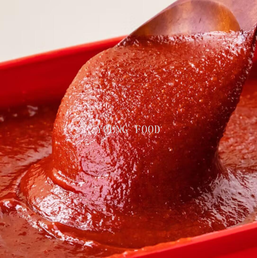 包邮批发!韩国进口零食手办 清净园淳昌辣椒酱 极辣)(盒)200g详情4