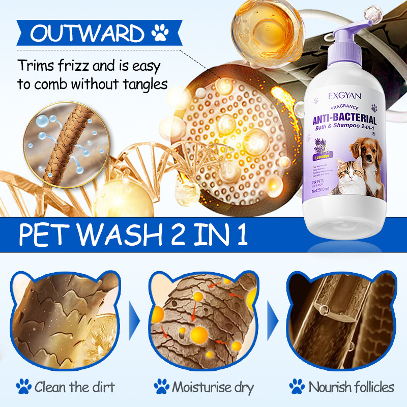 All-english EXGYAN pet cat and dog lavender bath and shampoo two-in-one cross-border export wholesale Application Scenario