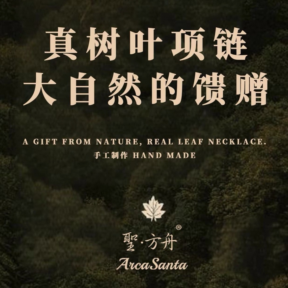 Forest-themed InS-style leaf necklace, a popular natural real leaf collarbone necklace in Europe and America, exquisitely handcrafted accessory Application Scenario