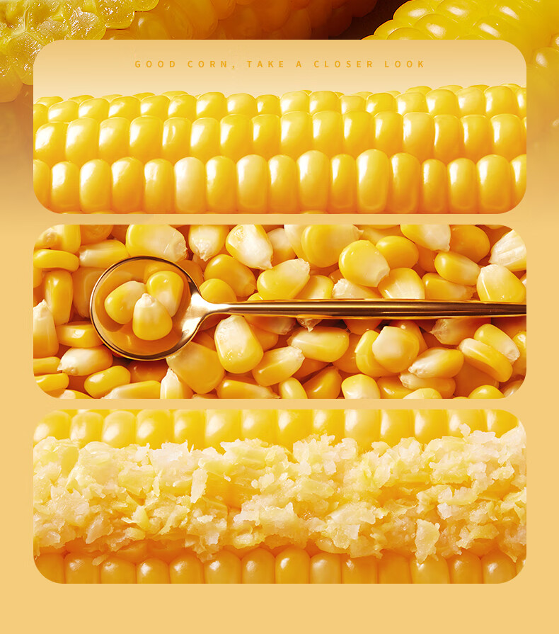 批发包邮！三胖蛋甜糯新鲜玉米棒真空锁鲜包装加热即食1.82kg详情10