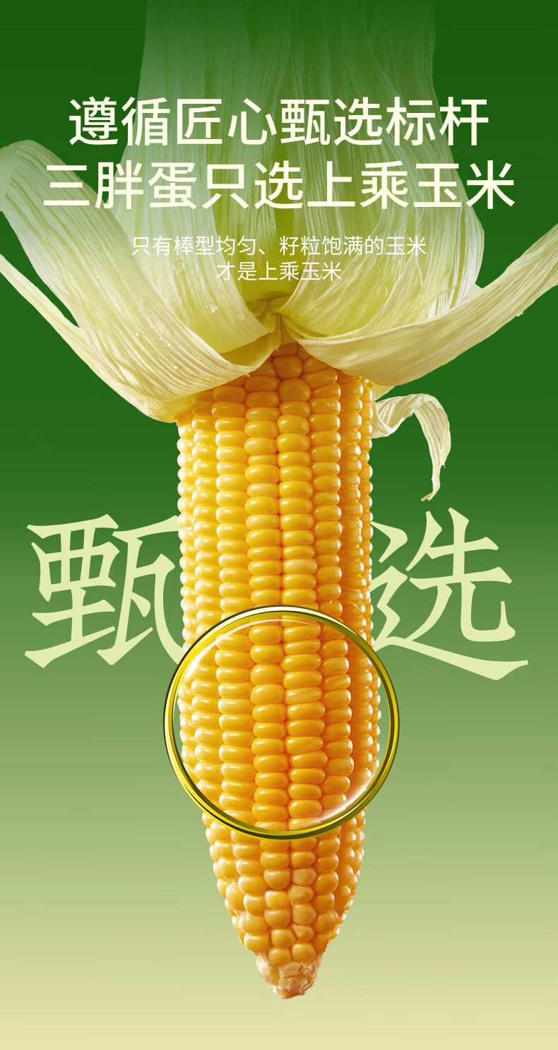 批发包邮！三胖蛋甜糯新鲜玉米棒真空锁鲜包装加热即食1.82kg详情20