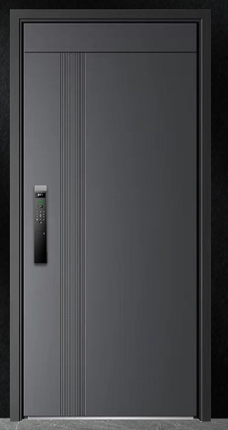 入户门透明透光防盗门大气大门平开铝合金