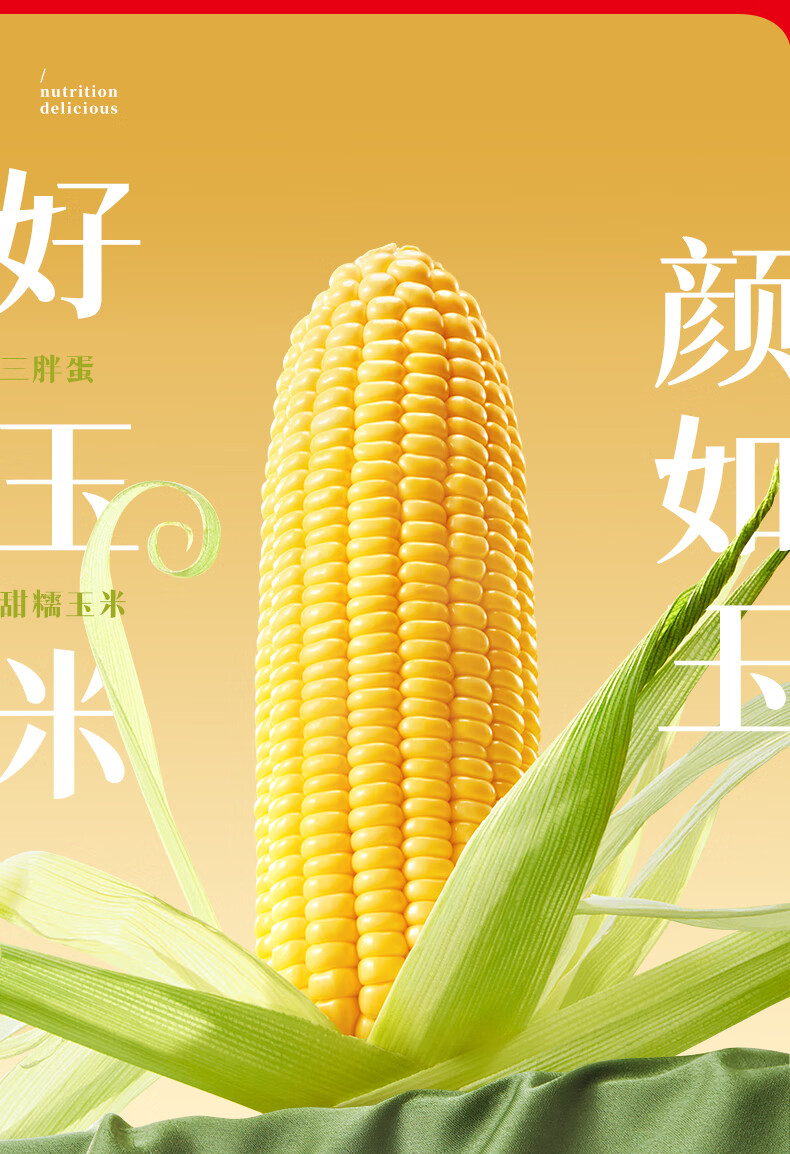 批发包邮！三胖蛋甜糯新鲜玉米棒真空锁鲜包装加热即食1.82kg详情5