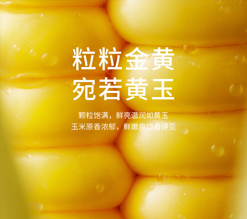 批发包邮！三胖蛋甜糯新鲜玉米棒真空锁鲜包装加热即食1.82kg详情7