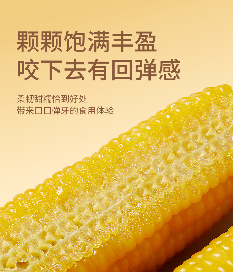 批发包邮！三胖蛋甜糯新鲜玉米棒真空锁鲜包装加热即食1.82kg详情9