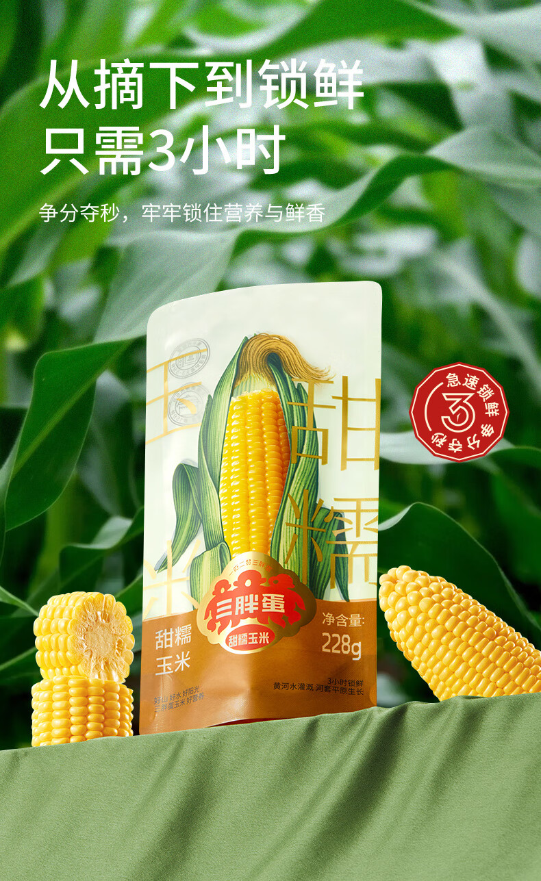 批发包邮！三胖蛋甜糯新鲜玉米棒真空锁鲜包装加热即食1.82kg详情11