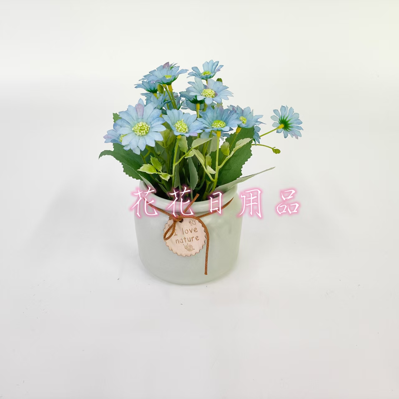 花卉盆栽白底实物图