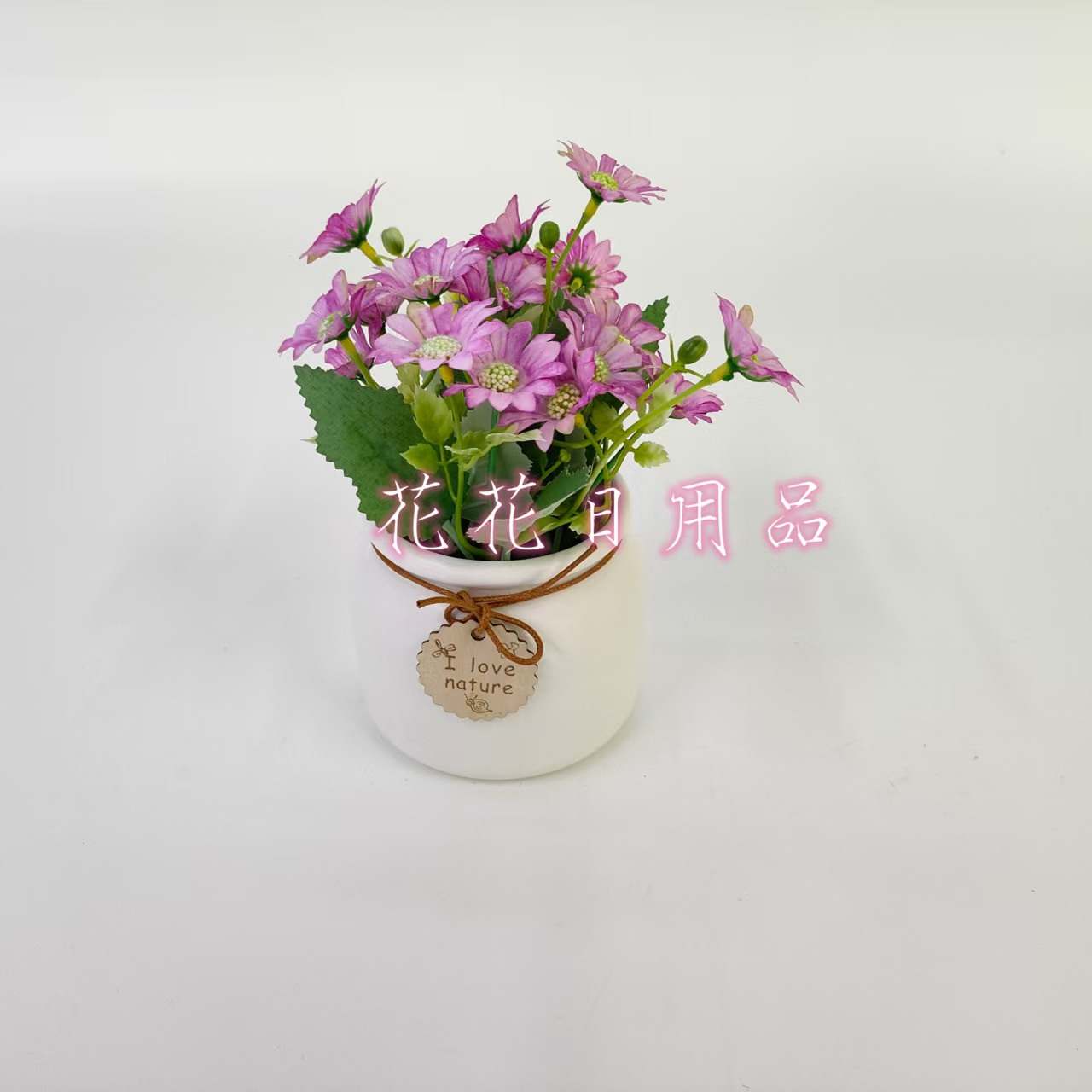 花卉盆栽细节图