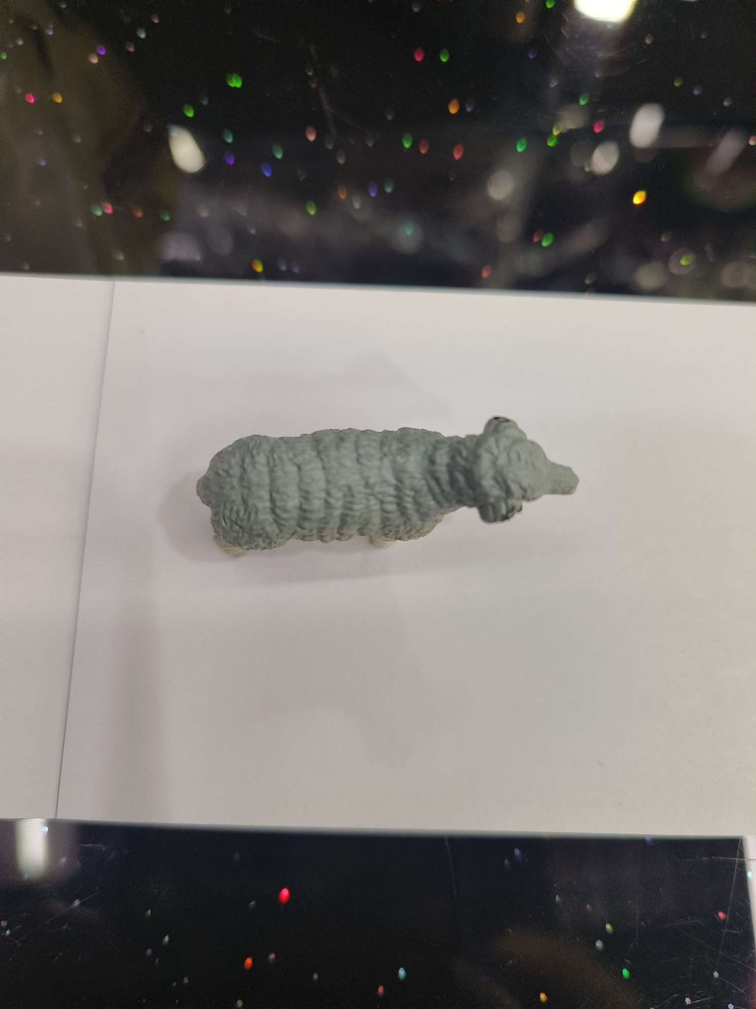 动植物/仿真模型实物图